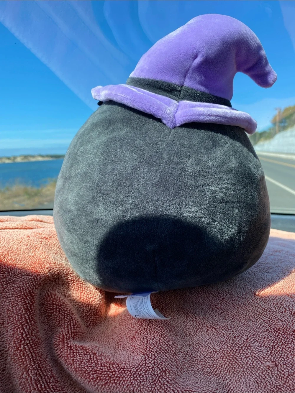 Squishmallows Black Skeleton Plush with Purple Witch Hat Org Tag